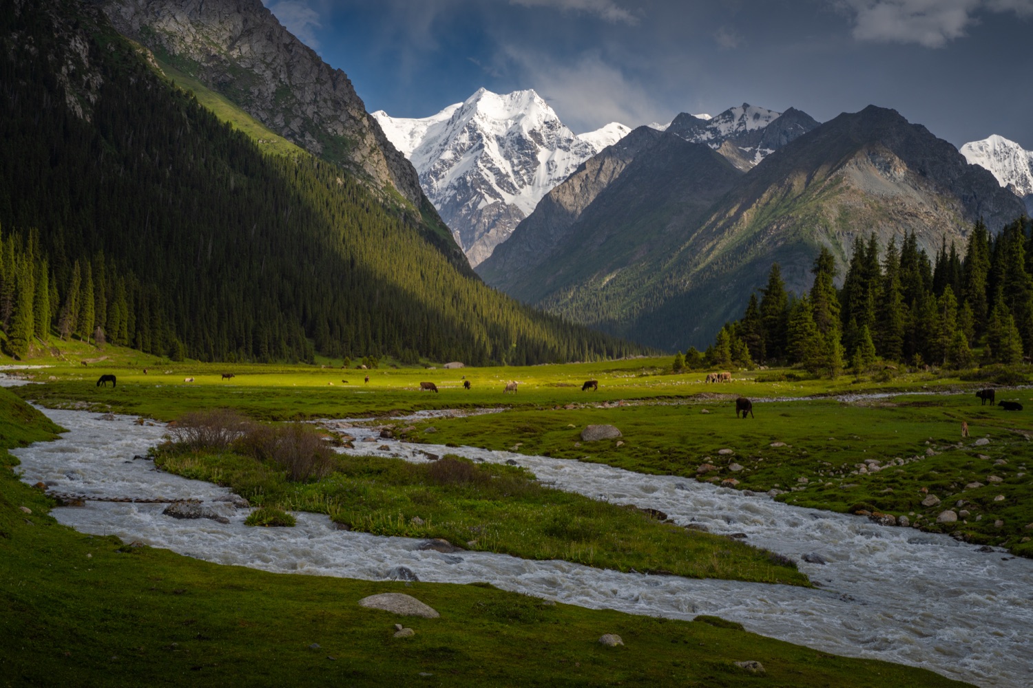 Mountain valley with river
